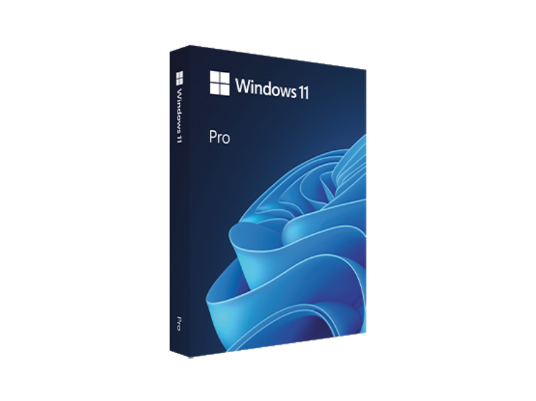 Windows 11 专业版